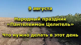 Народный праздник «Пантелеимон Целитель». 9 августа. Что нужно делать в этот день