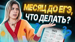 КАК ПОДГОТОВИТЬСЯ К ЕГЭ ПО ИНФОРМАТИКЕ ЗА МЕСЯЦ | Информатика ЕГЭ 2023 | Умскул