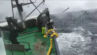 Longlining for Toothfish at Heard Island on Austral Leader II - Winter 2009