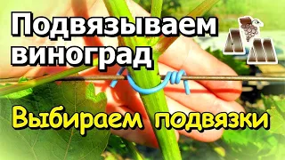 🍇 Как подвязывать виноград? Выбор подвязок для винограда