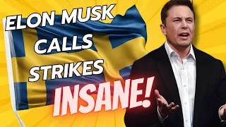 Elon Musk calls strikes ‘insane’ as Swedish workers take on Tesla!