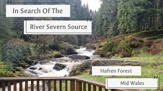 Search For The Source Of The River Severn: A Hafren Forest Walk Along The Severn Way