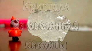 Кристалл из лимонной кислоты