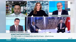 Δεσποτόπουλος και Παστουσέας για τη συνάντηση Μητσοτάκη – Ερντογάν