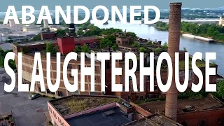 DJI Phantom 4 - ABANDONED Slaughterhouse  (4K)