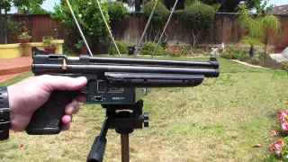 Crosman 1322 Chony Test