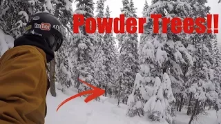 Powder Tree Run - Keystone Colorado- (Top To Bottom)