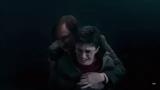 Harry's Scream was heartbreaking... ( Siruis black's death )