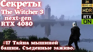 Секреты ведьмака . 17 #Witcher3 на RTX 4080 . Тайна мышиной башни. Съеденные заживо.  HDR