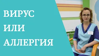 Вирус или аллергия