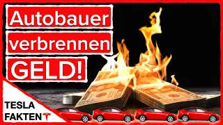 Autobauer kurz vor dem Bankrott? Warum ist TESLA so profitabel?