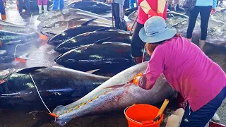 500km Chase！Huge Bluefin Tuna Catching, Bluefin Tuna Cutting Master, Sashimi/500公里的進擊！黑鮪魚捕捉, 黑鮪魚切割大師