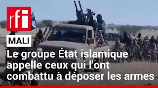 Mali : le groupe État islamique appelle ceux qui l'ont combattu à déposer les armes • RFI