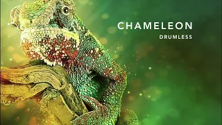 Chameleon drumless backing track (no drums)