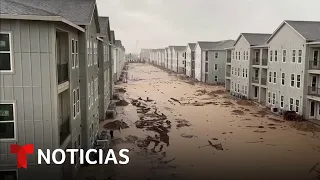 Sin electricidad medio millón de personas en Houston por causa de la tormenta | Noticias Telemundo