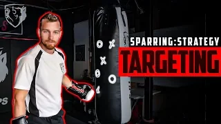Sparring Strategy: Boxing Targeting & Reaction Time