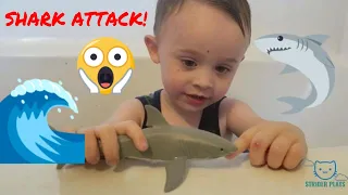 SHARK TOYS! SHARK WEEK WITH STRIDER PLAYS. SHARK ATTACK IN THE BATH!