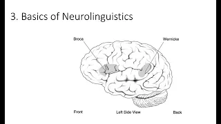6.3. Basics of Neurolinguistics, Fundamentals of Cognitive Neuroscience Course, Session 6, Part 3