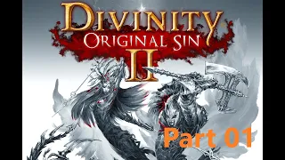 Divinity: Original Sin 2 Definitive Edition Gameplay PS4 Pro Casual Playthrough no commentary