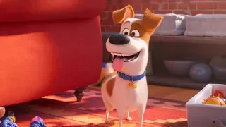 THE SECRET LIFE OF PETS 2 | Trailer 1 | In Cinemas 30 May 2019