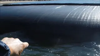 Observation of Wave Action against 8ft AquaDam, Knutson Dam, Cass Lake, MN 2015