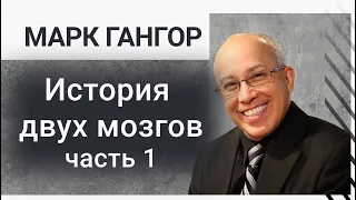 История двух мозгов. Часть 1  Марк Гангор русская озвучка