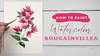 How to Paint Watercolour Bougainvillea