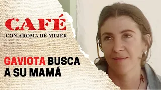 Gaviota encuentra a su mamá y se desahoga | Café, con aroma de mujer 1994