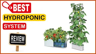 ✅ Best Hydroponic System Amazon In 2023 ✨ Top 5 Tested & Reviewed
