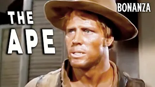 Bonanza - The Ape (1960) Guest star Leonard Nimoy | TV Western