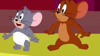 Tom và Jerry   Tuyển tập những tập hay nhất Tom and Jerry HD