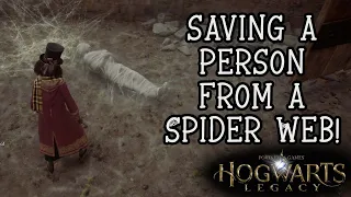 Hogwarts Legacy Easter Egg - Rescuing a person from a Giant Spider's web! 🕸