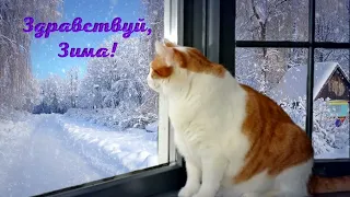 Здравствуй, Зима! ❄️ Музыкальная поздравительная открытка