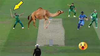 Top 10 Most Rare Moments in Cricket History of All Times