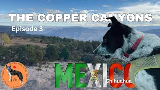 Dogpacking in the Copper Canyons_Ep_3   OmniTierra Bikepacking WorldTour