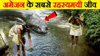 Amazon River में पाए जाने वाले 10 सबसे ख़तनाक दानव । 10 Deadliest Creatures Found in Amazon River