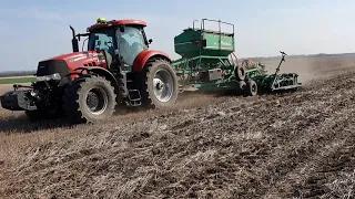 Сеем горох по no-till. John deere vs ПК Томь