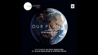 In This Together (feat. Ellie Goulding) | Our Planet OST