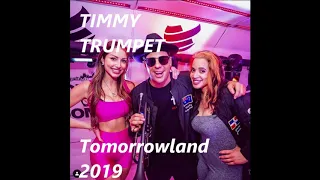 Raveille/Veldt/Pompeii (Timmy Trumpet Tomorrowland 2019 Mashup)