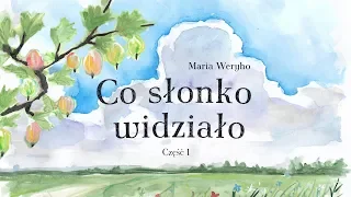 CO SŁONKO WIDZIAŁO CZ.1 - Bajkowisko - bajki dla dzieci po polsku