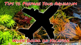 Away from your fish on vacation? These tips will make it stress free!