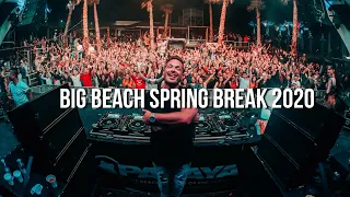 Big Beach Spring Break 2019 I Day Recap 01 - Papaya