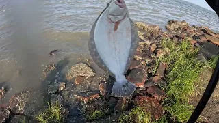 Tough Fishing On A Hot Day At Jekyll Island Ga, And Some Drone Fun