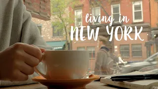 Living in New York / Why I Stopped YouTube, Early Morning Routine, New Furniture, Vlog