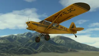 Flight Simulator 2020 Savage Cub Bush Flying