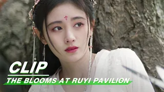Clip: Ju Jingyi Is Almost Injured By Highness | The Blooms At RUYI Pavilion EP26 | 如意芳霏 | iQIYI