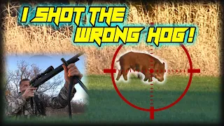 Hog Hunting with the CZ 600 Alpha 7.62x39!