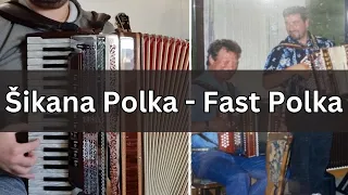 Šikana Polka - Fast Polka (P. Grivic)