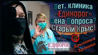 Поездка в вет. Клинику "Единорог". 😢 Врач Волкова Е.М. Цена вопроса? Нычик на приёме. 🐭(Fancy Rats)🐭