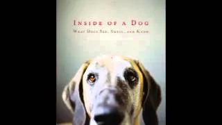 Inside of a Dog: What Dogs See, Smell, and Know